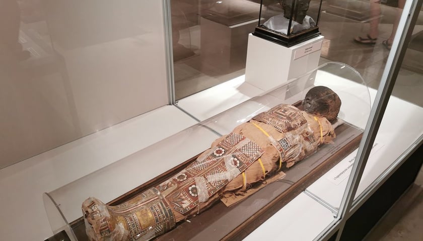 Powiększ obraz: Mumia egipska w Muzeum Archidiecezjalnym we Wrocławiu