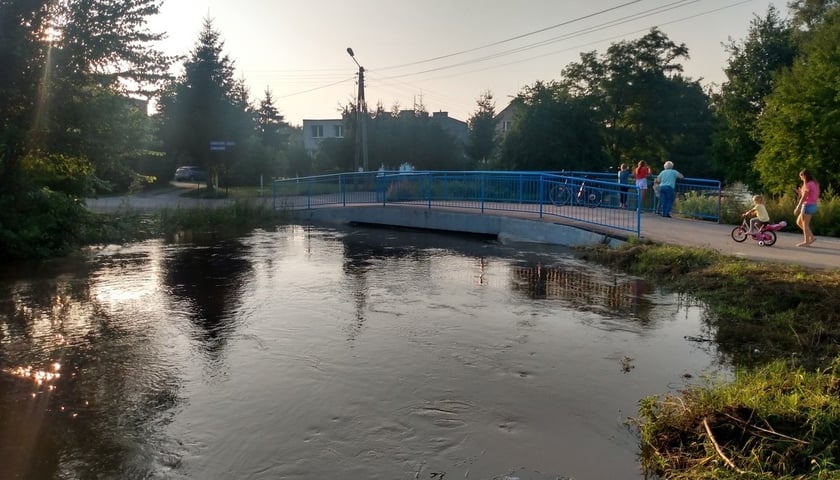 Rzeka Czarna Woda w Gniechowicach wylała się ze swojego koryta.