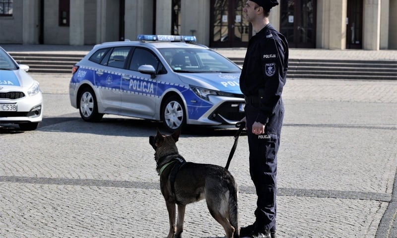 Powiększ obraz: Nana  z opiekunem