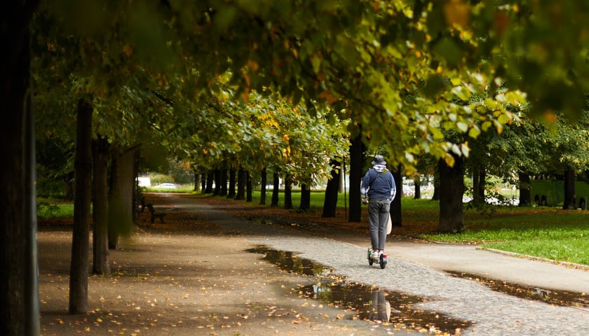 Jesień we wrocławskich parkach i na ulicach w 2022 roku