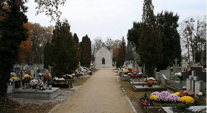 Powiększ obraz: Cmentarz Leśnicki ? Wszystkich Świętych we Wrocławiu