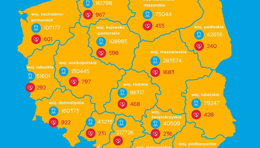 Powiększ obraz: Na zdjęciu grafika przedstawiająca dawców potencjalnych i dawców faktycznych zarejestrowanych w bazie Fundacji DKMS