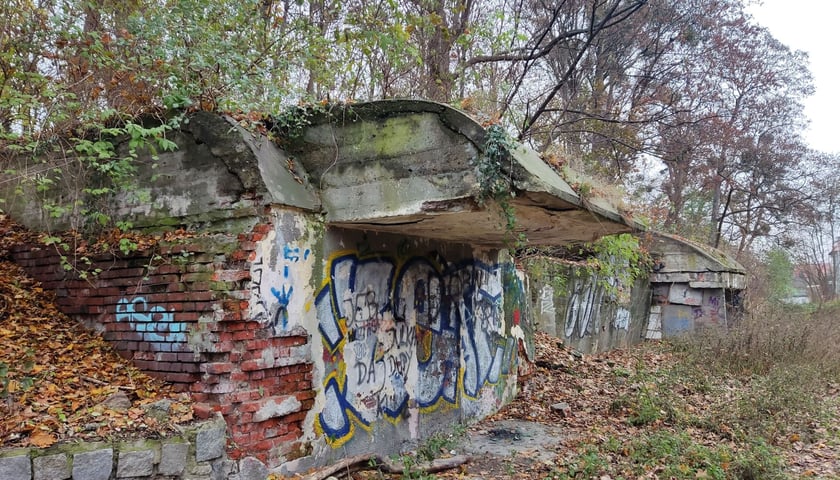 Powiększ obraz: Ruiny bunkra przy ul. Skarbowców