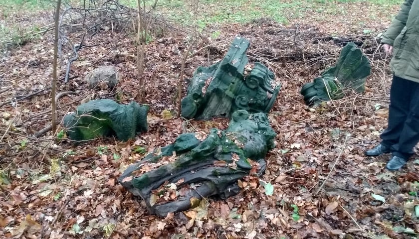 Odnalezione w Wielowsi koło Sycowa szczątki posągu Neptuna z wrocławskiego placu Nowy Targ