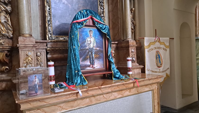 Obraz  św. Jose Sancheza w kościele pw. Św. Mikołaja we Wrocławiu