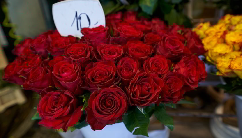 Ceny kwiatów na placu Solnym we Wrocławiu