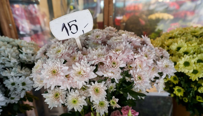 Ceny kwiatów na placu Solnym we Wrocławiu