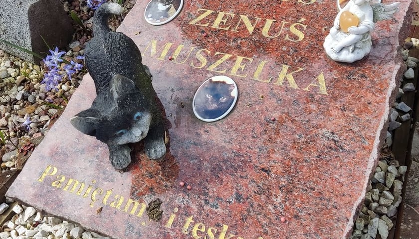 Powiększ obraz: Cmentarz dla zwierząt Tęczowy Most pod Wrocławiem