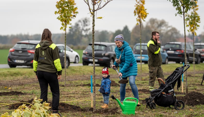 Powiększ obraz: Na zdjęciu rodzice z dzieckiem sadzą drzewko podczas jesiennej edycji akcji WROśnij we WROcław  - rok 2022