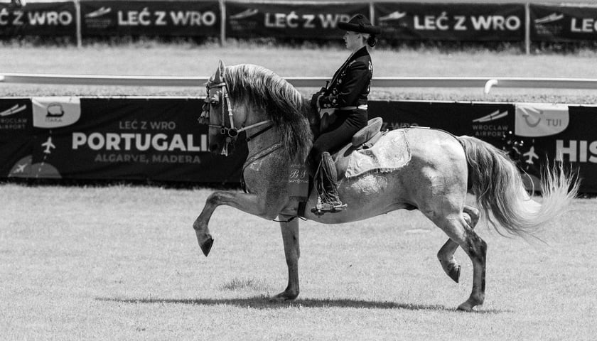 Zdjęcia Wiktora Rzeżuchowskiego, fotografa i  instruktora jazdy konnej