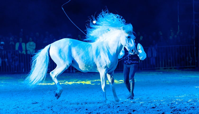 Zdjęcia Wiktora Rzeżuchowskiego, fotografa i  instruktora jazdy konnej