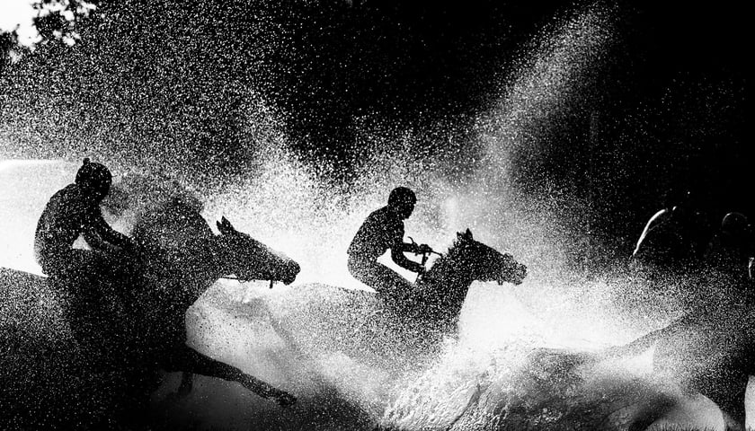 Zdjęcia Wiktora Rzeżuchowskiego, fotografa i  instruktora jazdy konnej