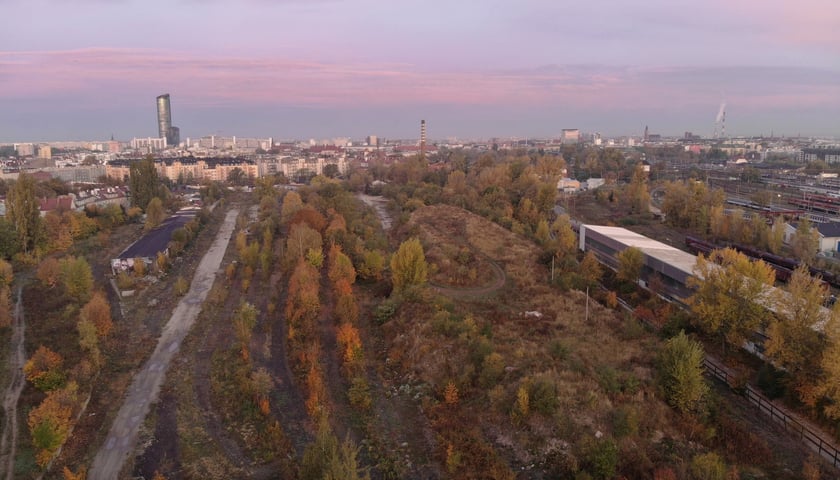 Powiększ obraz: Na zdjęciu porośnięty drzewami obszar w rejonie ulic: Prudnickiej, Paczkowskiej, Henrykowskiej i Jesionowej, gdzie ma powstać park Henrykowski