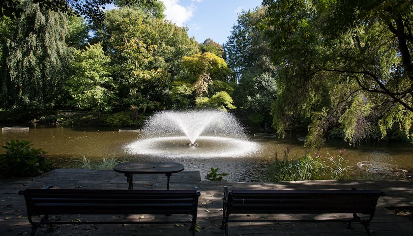 Powiększ obraz: Ogród Botaniczny UWr we Wrocławiu ? idealne miejsce dla miłośników przyrody