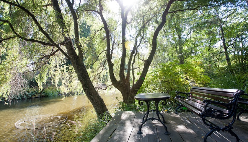 Ogród Botaniczny UWr we Wrocławiu ? idealne miejsce dla miłośników przyrody