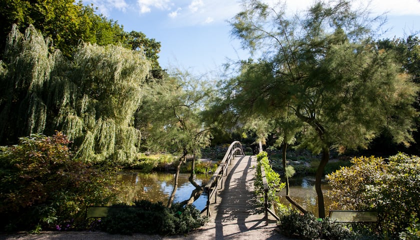 Ogród Botaniczny UWr we Wrocławiu ? idealne miejsce dla miłośników przyrody