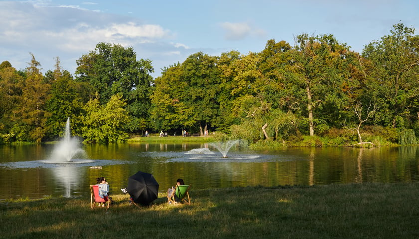 Powiększ obraz: Park Południowy ? spokojny, zielony park ze stawem, idealny na piknik