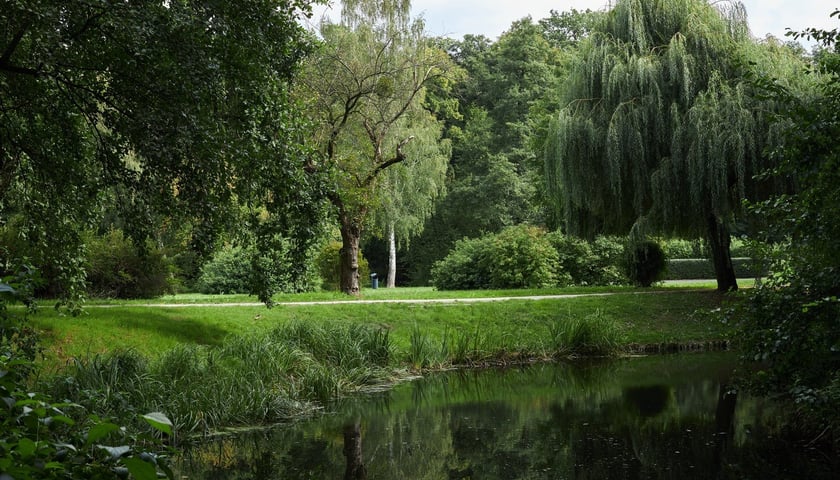 Powiększ obraz: Park Złotnicki we Wrocławiu