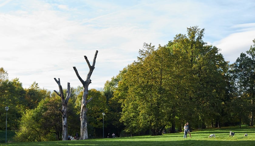 Powiększ obraz: Park Kleciński we Wrocławiu