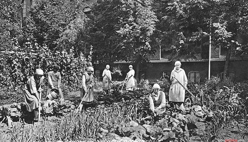 Powiększ obraz: <p>Lata 1920-1930, zajęcia w ogrodzie</p>