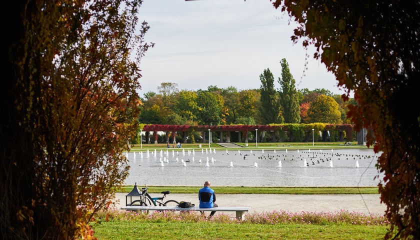 Fontanna multimedialna we Wrocławiu to kolorowa, wodna atrakcja dla całej rodziny, a zwłaszcza dla dzieci.