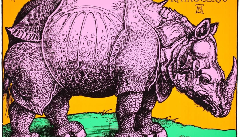 ?Rhinocerus?, 1974