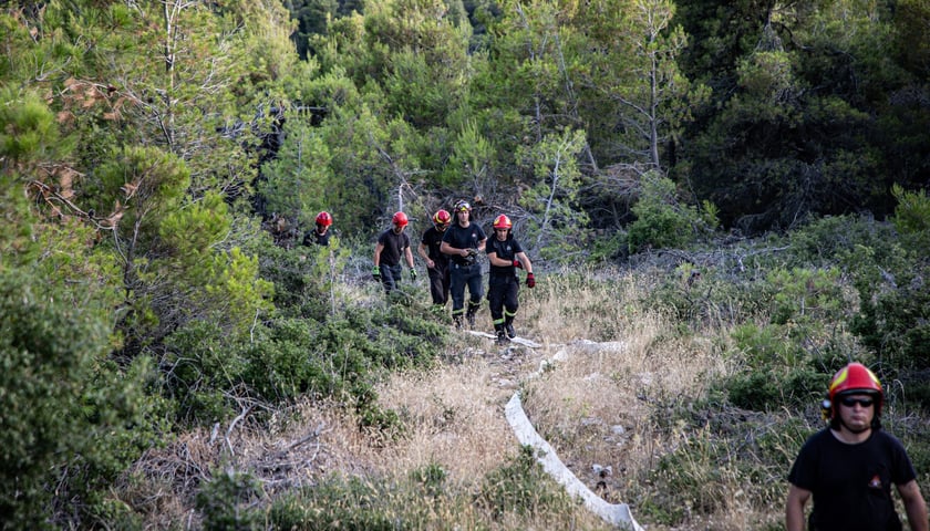 Powiększ obraz: Dolnośląscy strażacy wrócili z misji w Grecji.
