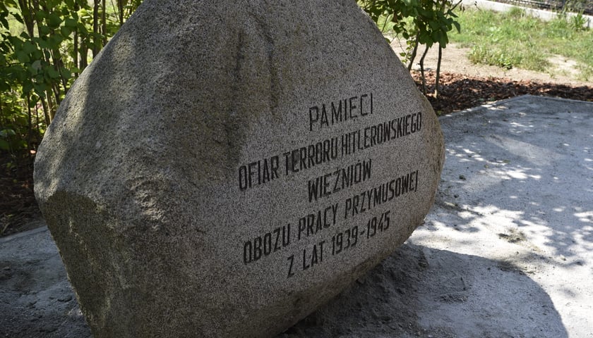 przenosiny pomnika ofiar obozu pracy przymusowej Burgweide, Wrocław 16 sierpnia 2023
