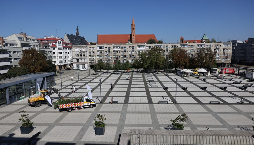 Powiększ obraz: Na placu Nowy Targ nasadzonych zostanie ponad 63 tys. roślin - efekt poznamy wiosną