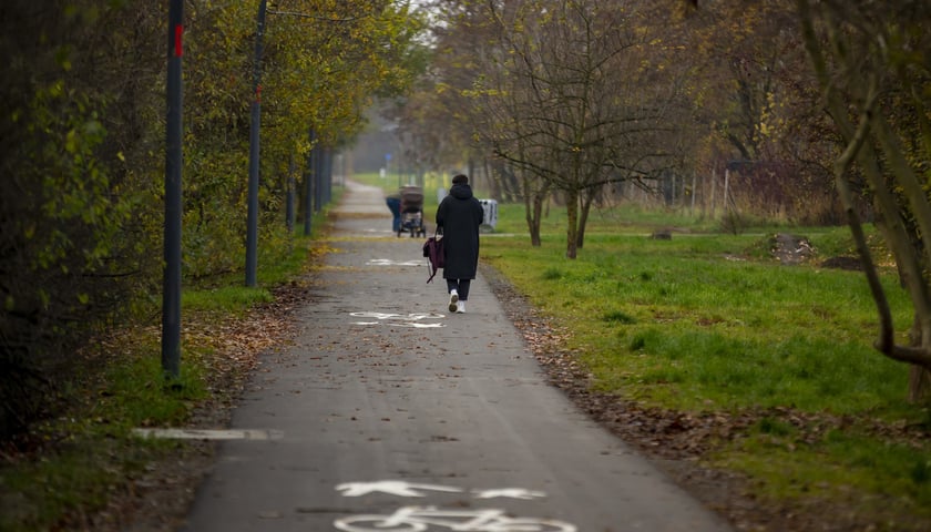 Powiększ obraz: <p>Promenada Krzycka</p>