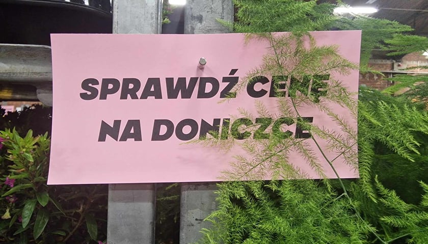 Powiększ obraz: Festiwal roślin doniczkowych w Czasoprzestrzeni na Wielkiej Wyspie