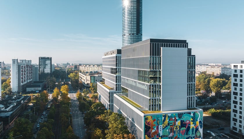 Mural (aut. projektu Zuzanna Wollny) na Centrum Południe