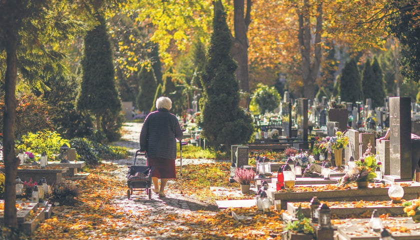 Powiększ obraz: Starsza pani idąca alejką cmentarną