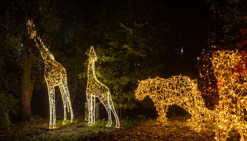 „Filmowe Opowieści” w Lumina Park w Zamku Topacz