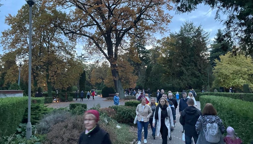 Cmentarz Grabiszyński