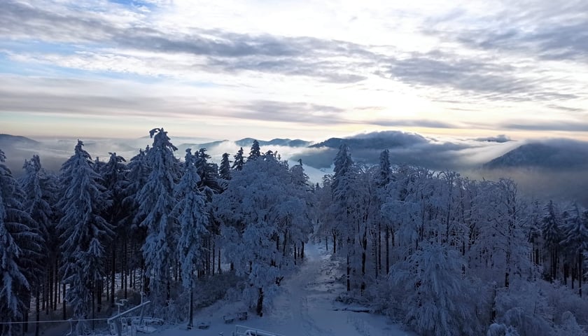 Powiększ obraz: Widok z wyciągu narciarskiego na Dzikowcu