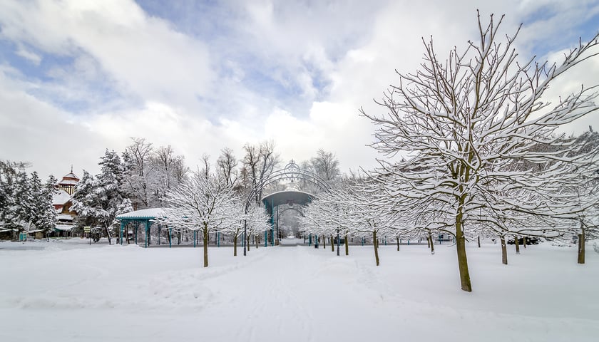 Powiększ obraz: Park Zdrojowy w Kudowie-Zdrój w trakcie zimy