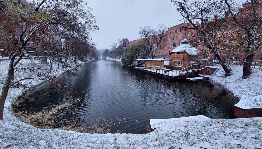 zima we Wrocławiu, 28.11.2023