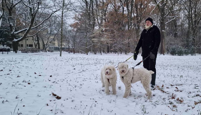 zima we Wrocławiu, 28.11.2023