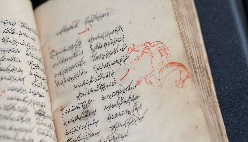 Powiększ obraz: <p>Turecki rękopis z XVI wieku z wizerunkiem konia. Rysunek wykonał zapewne zamyślony czytelnik</p>