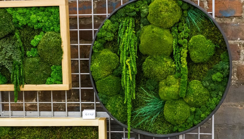 Targi Kupuj Świadomie - poprzednie edycje