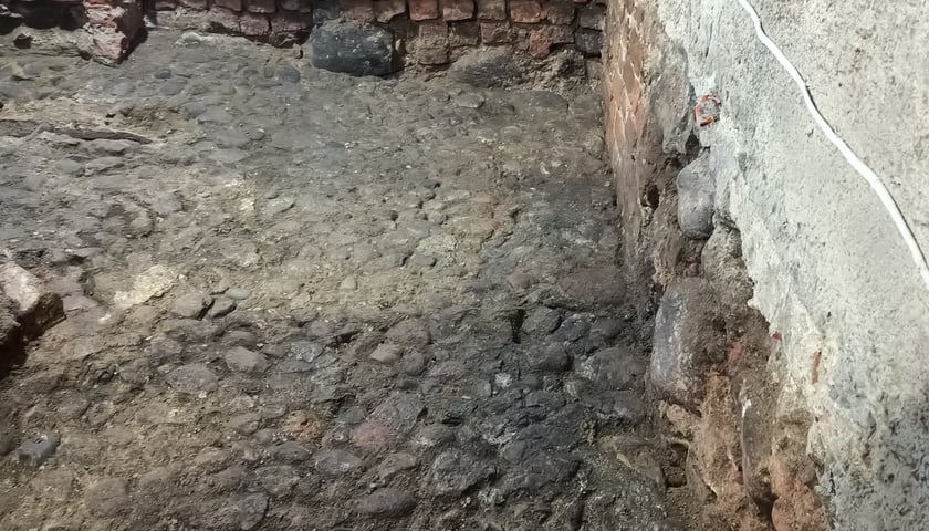 Zdjęcie z prac archeologicznych.