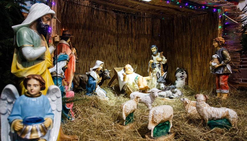 Powiększ obraz: Bożonarodzeniowa szopka w kościele św. Michała Archanioła