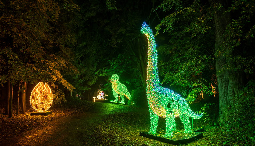 Powiększ obraz: Lumina Park w Zamku Topacz