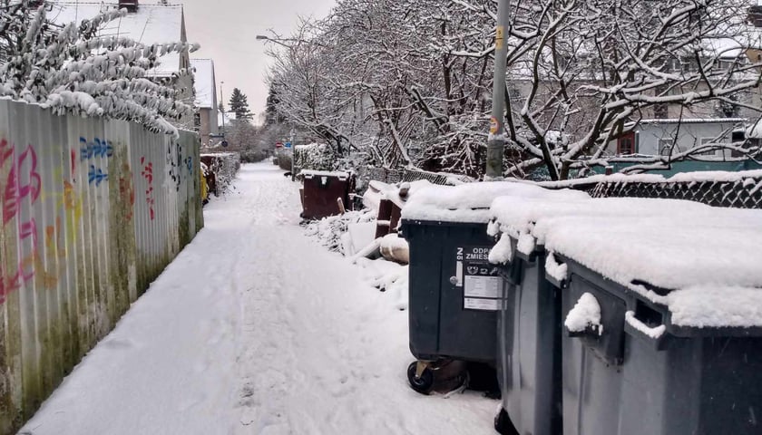 Alejki Olgi Boznańskiej przykryte śniegiem, 16 stycznia 2024