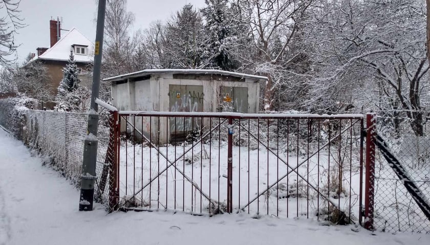 Alejki Olgi Boznańskiej przykryte śniegiem, 16 stycznia 2024