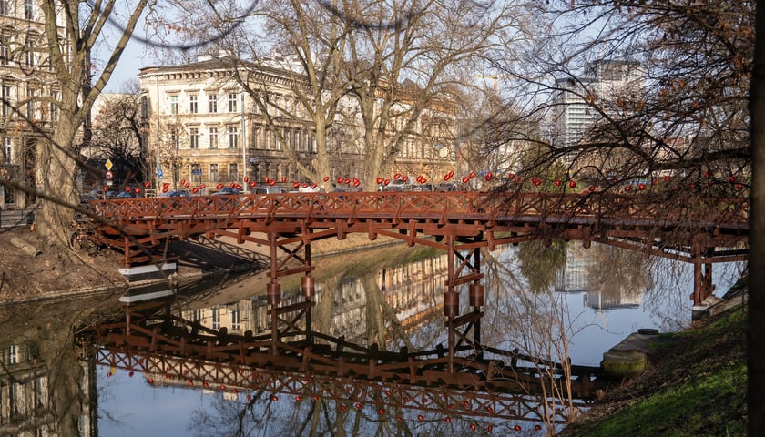 Ponowne otwarcie kładki św. Antoniego we Wrocławiu