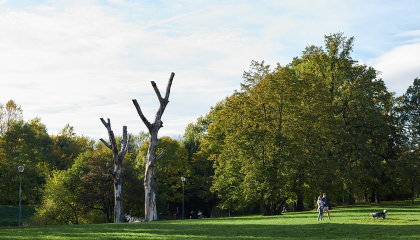 Powiększ obraz: Na zdjęciu  widać fragment  parku Klecińskiego ze spacerującymi ludźmi z psem