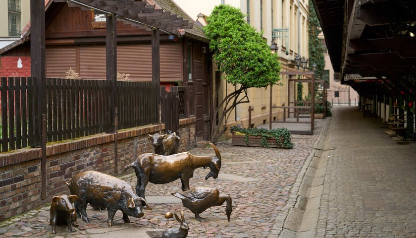 Puste miasto. Wrocław bez ludzi i bez samochodów. 31.03.2024