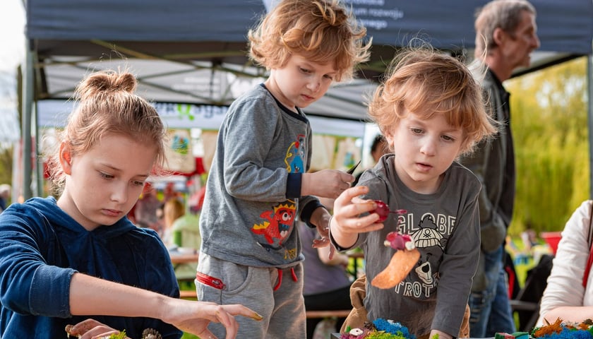 Piknik w parku na Niskich Łąkach i wiosenna edycja akcji WROśnij we WROcław&nbsp;&nbsp;